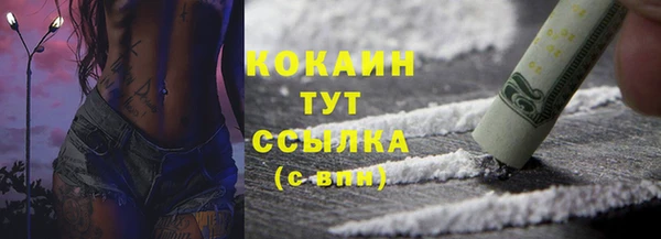 дурь Магас