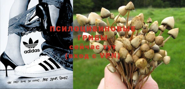бутират Майский