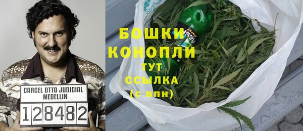 дурь Магас