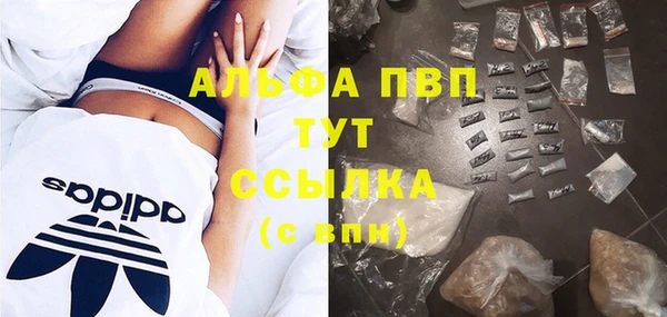 дурь Магас
