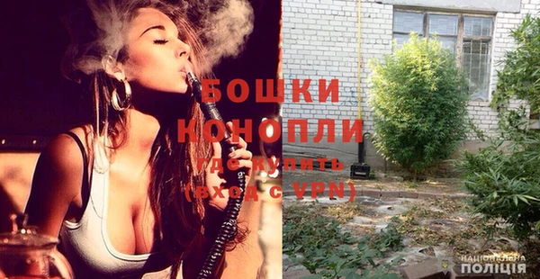 дурь Магас